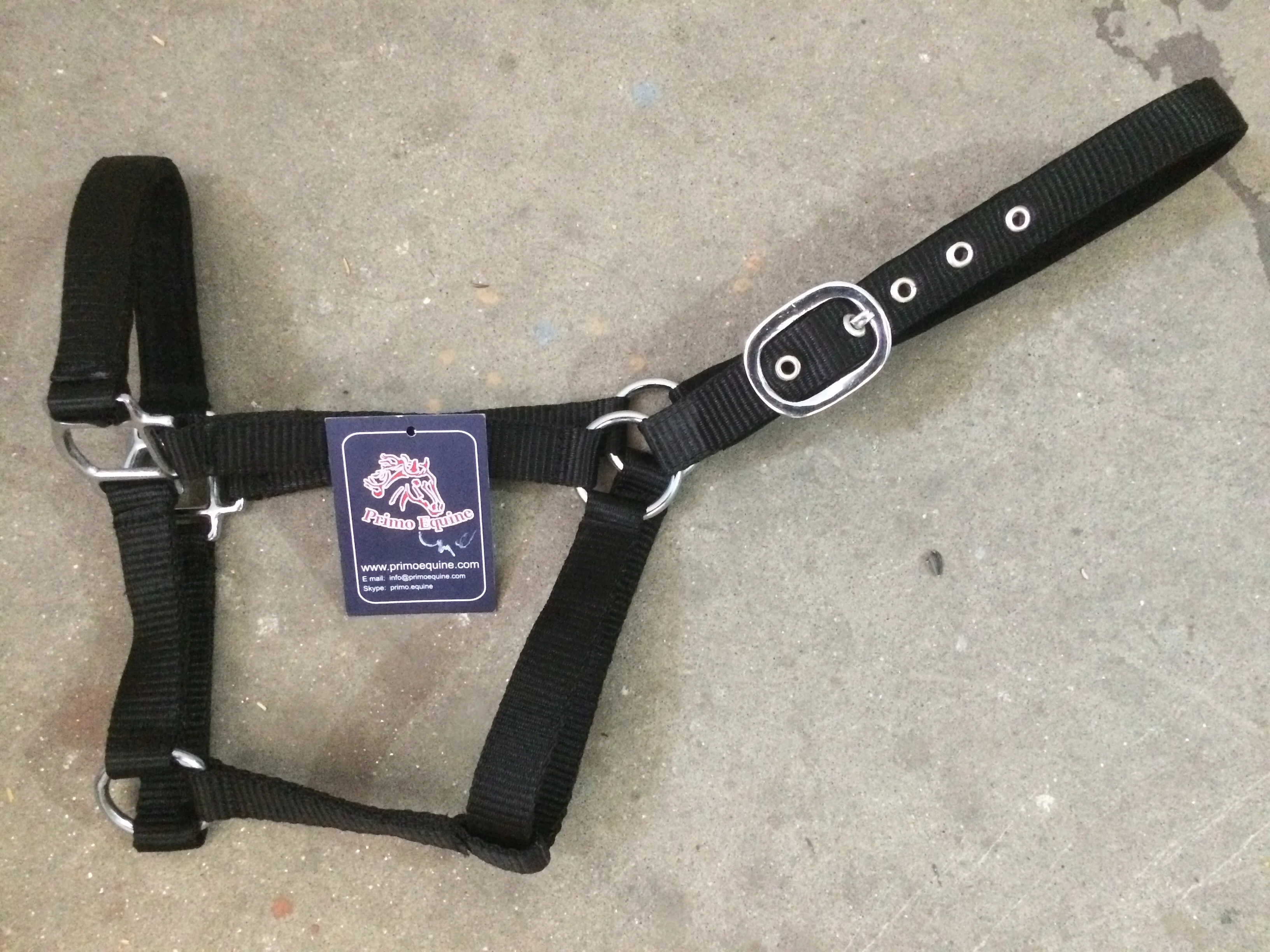 English & Western Saddle Horse Halter Nylon Material with PP & Leather Various Styles Available