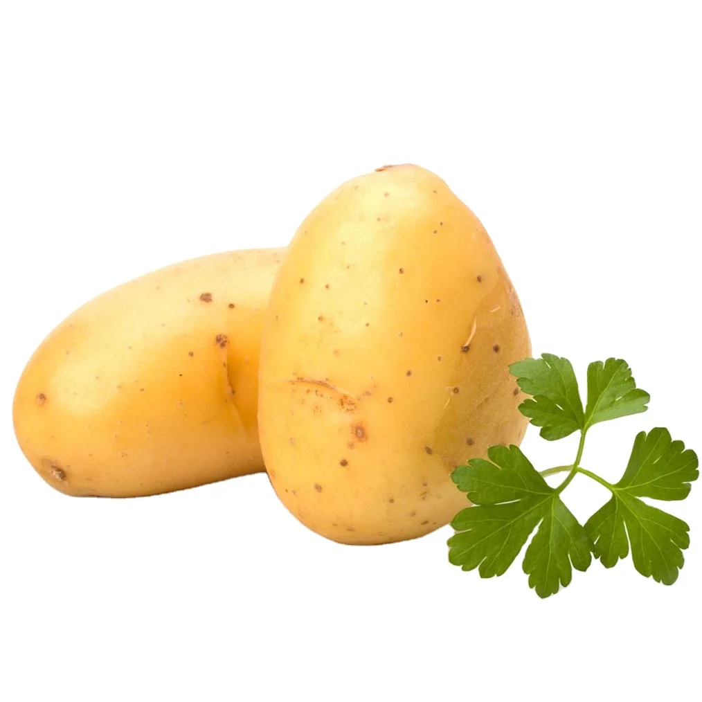 Quality Fresh Potato From Pakistan White Potato / Red Potatoes