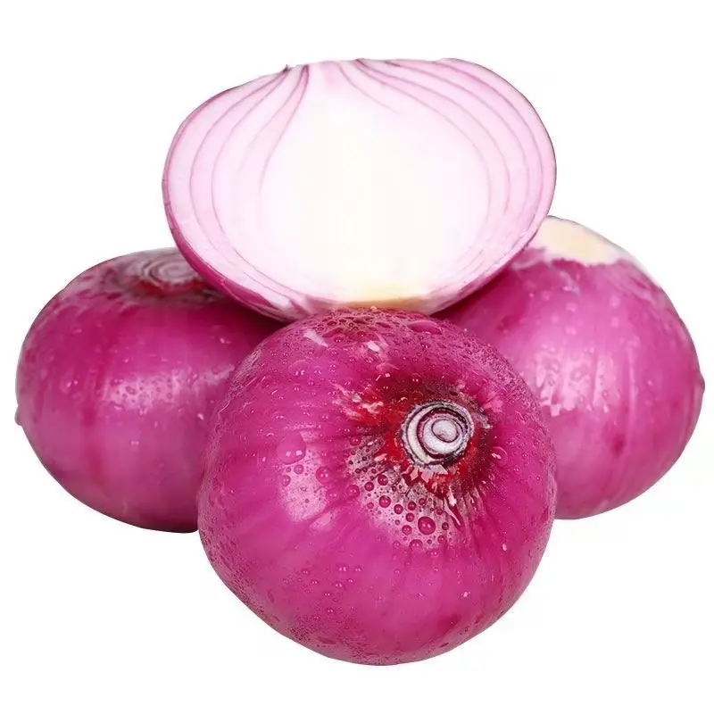 Hot Sales Quality Fresh Red Onion Available For Wholesale Buyers