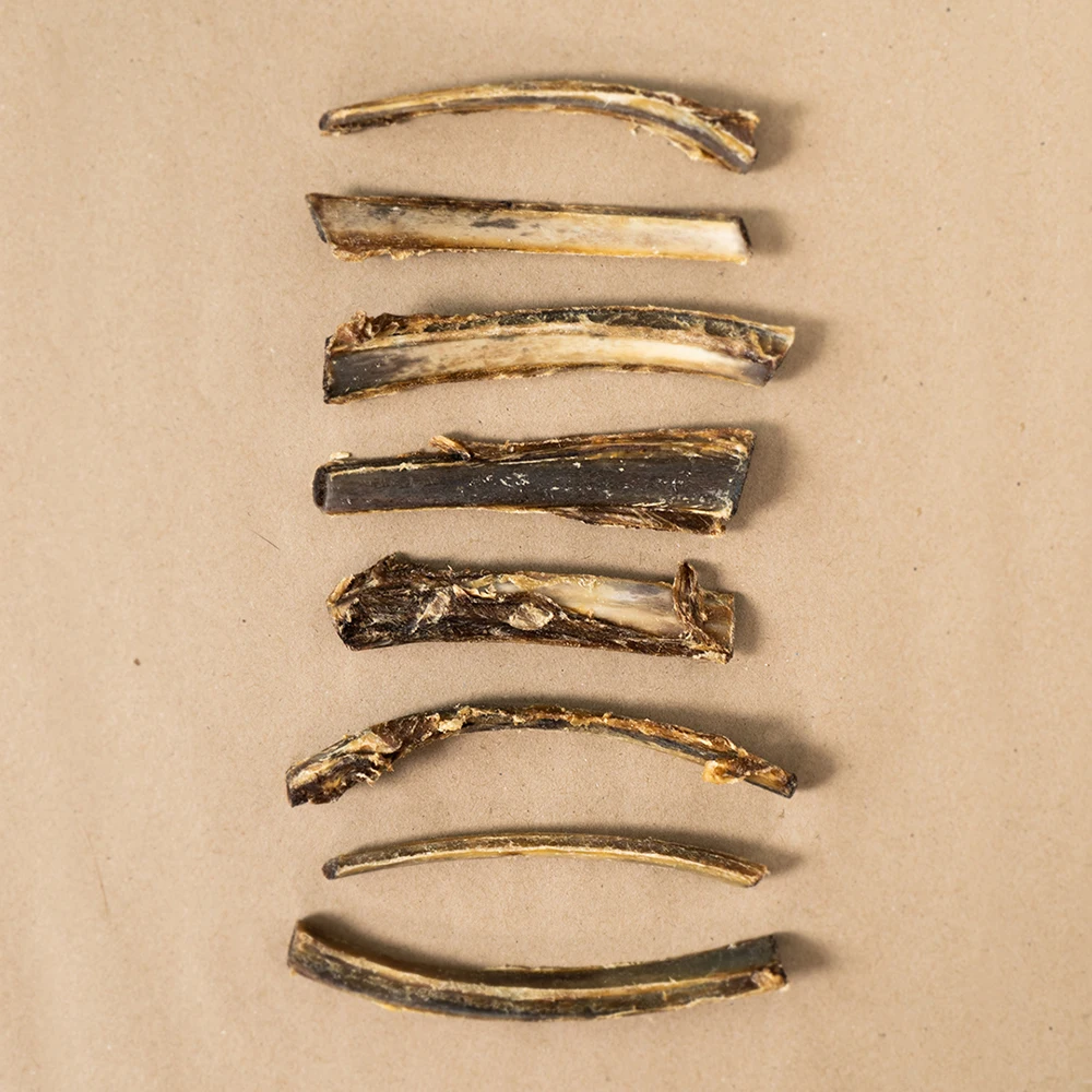 12. Ribs.jpg