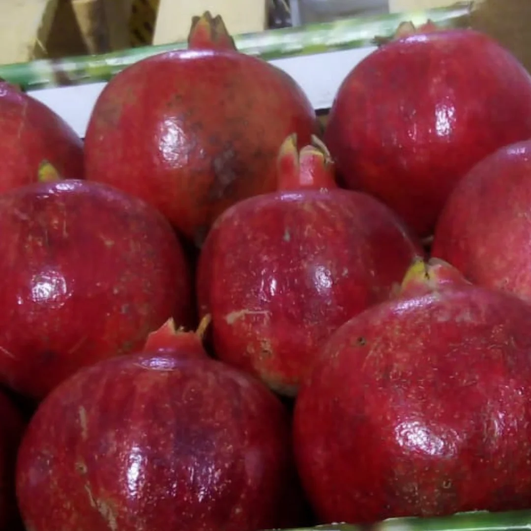 Fresh Red Sweet Pomegranate Organic Origin Tunisia to squeeze