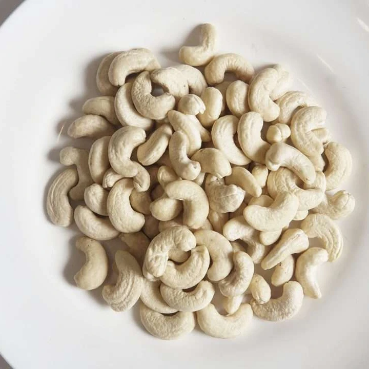 WW210 Cashew Nut Wholesale Factory Raw Cashew Kernels With Organic Cerfiticates