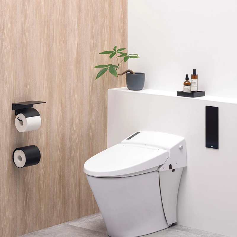 Removable Flip Up Handicap Grab Bar Matte Black