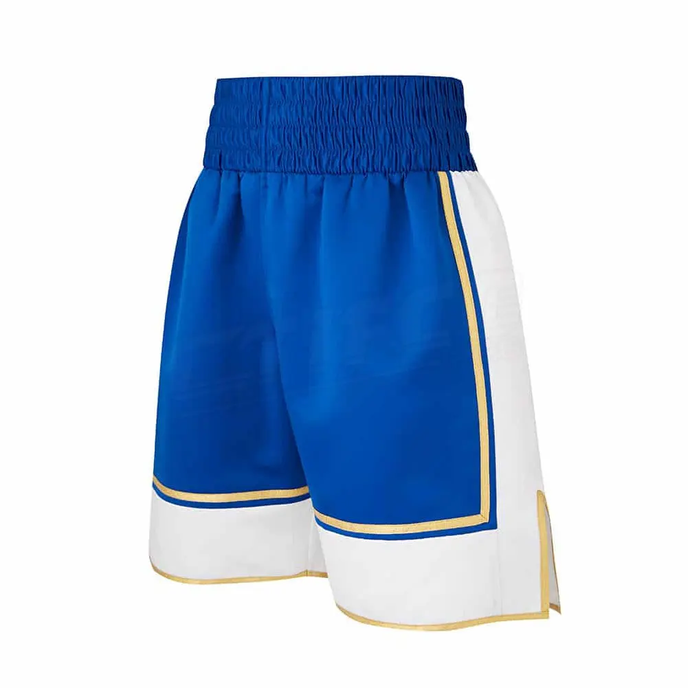 Plus Size Muay Thai Shorts High Grade MMA Gym Boxing Kickboxing Shorts