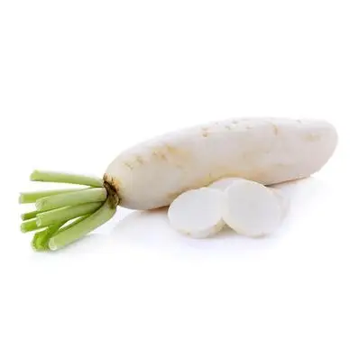 
Fresh white radish Austrian white radish high quality  (1600249484067)