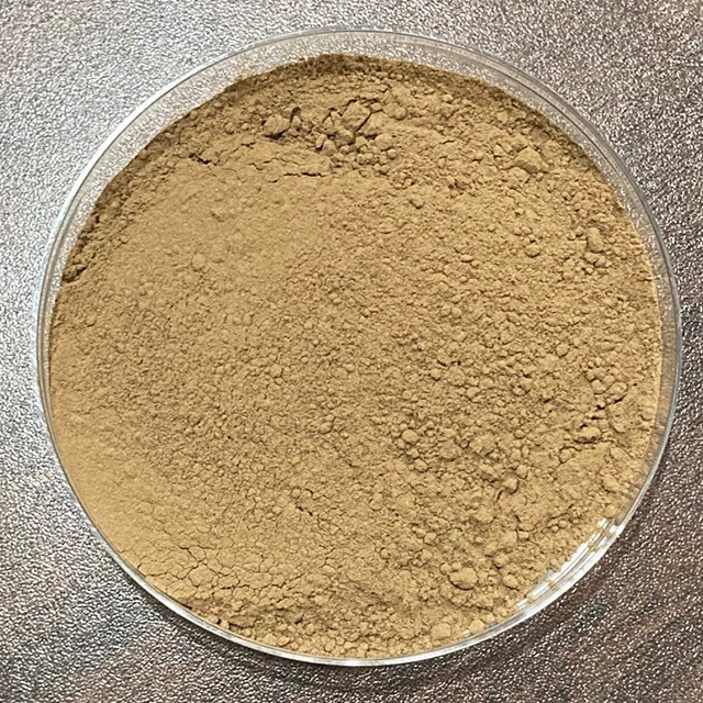 
 Циссус квадрангуларис, хадрод, Adament Creeper, растительный экстракт Vitis Quadrangularis  