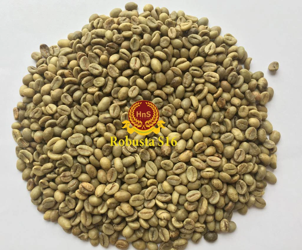  Оптовая продажа вьетнамский КОФЕ Robusta S16/ 18 высокого качества