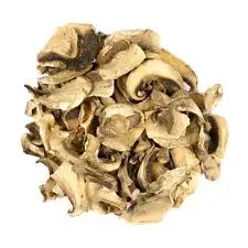 mushroom 0,.jpg