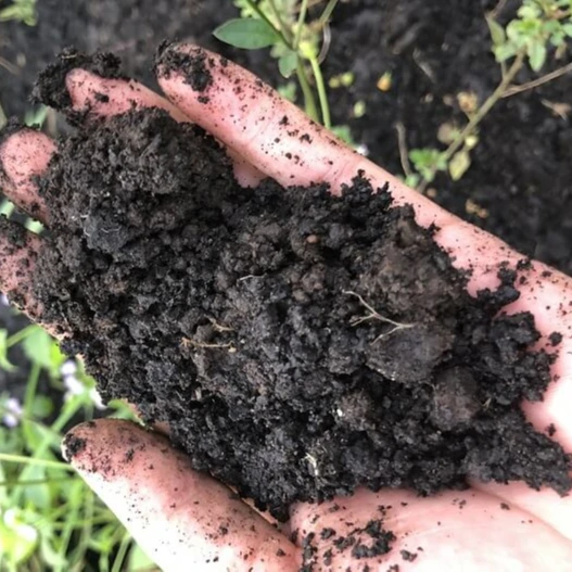 Оптовая поставка высококачественного торфяного Моха из Вьетнама Ms Sophie + 84 901 022 641