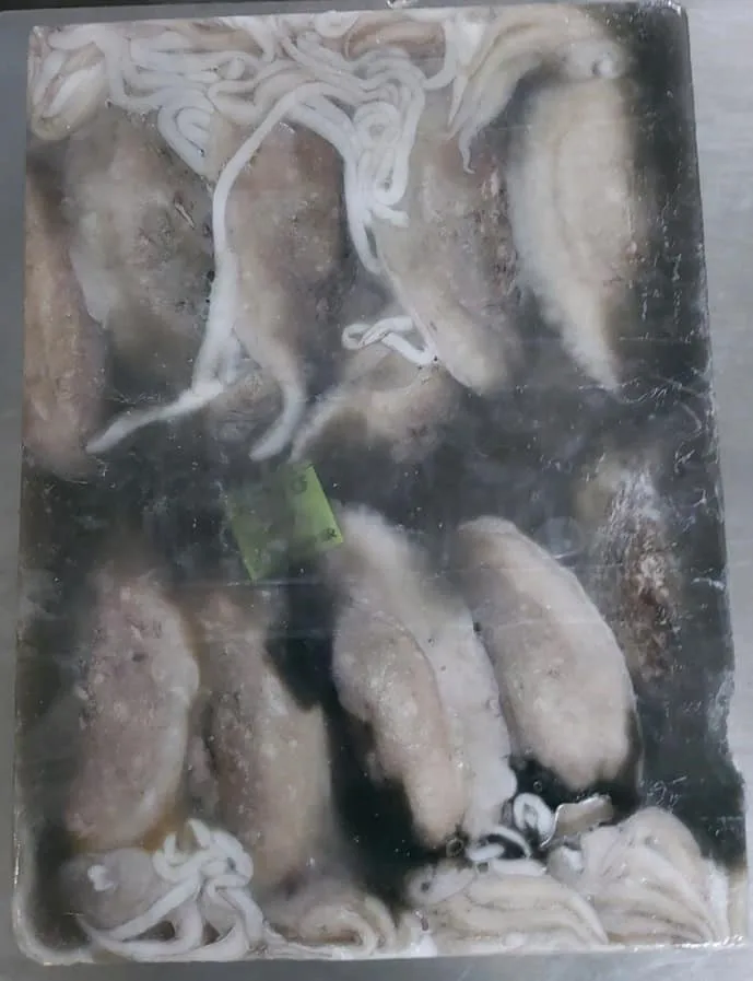 Замороженная морская рыба, свежая морская рыба, морская рыба