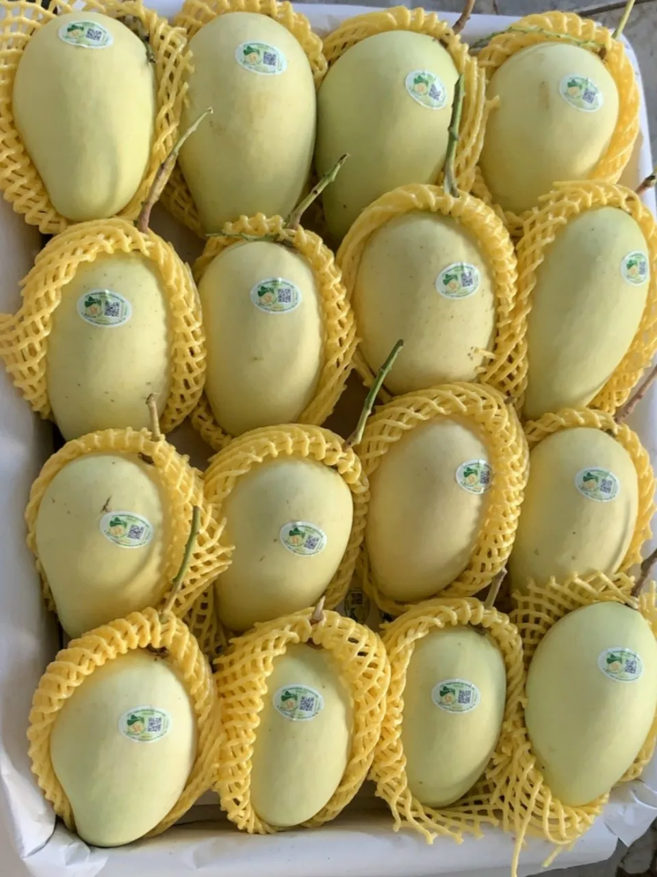 Дешевые свежие фрукты манго из Вьетнама/свежие высокого