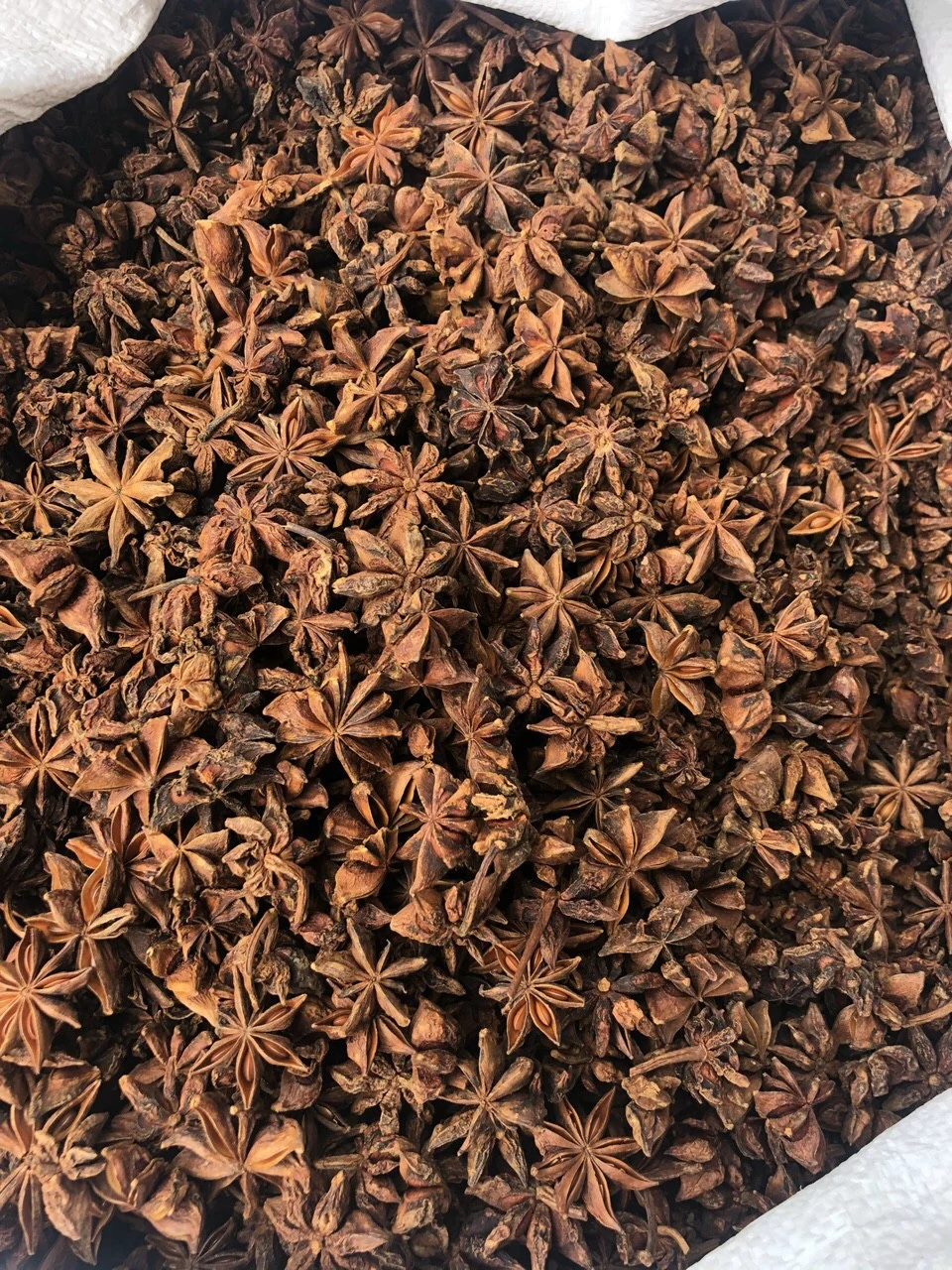 Hot selling in Vietnam Supplier of pure star aniseed Vietnam Star with the best price