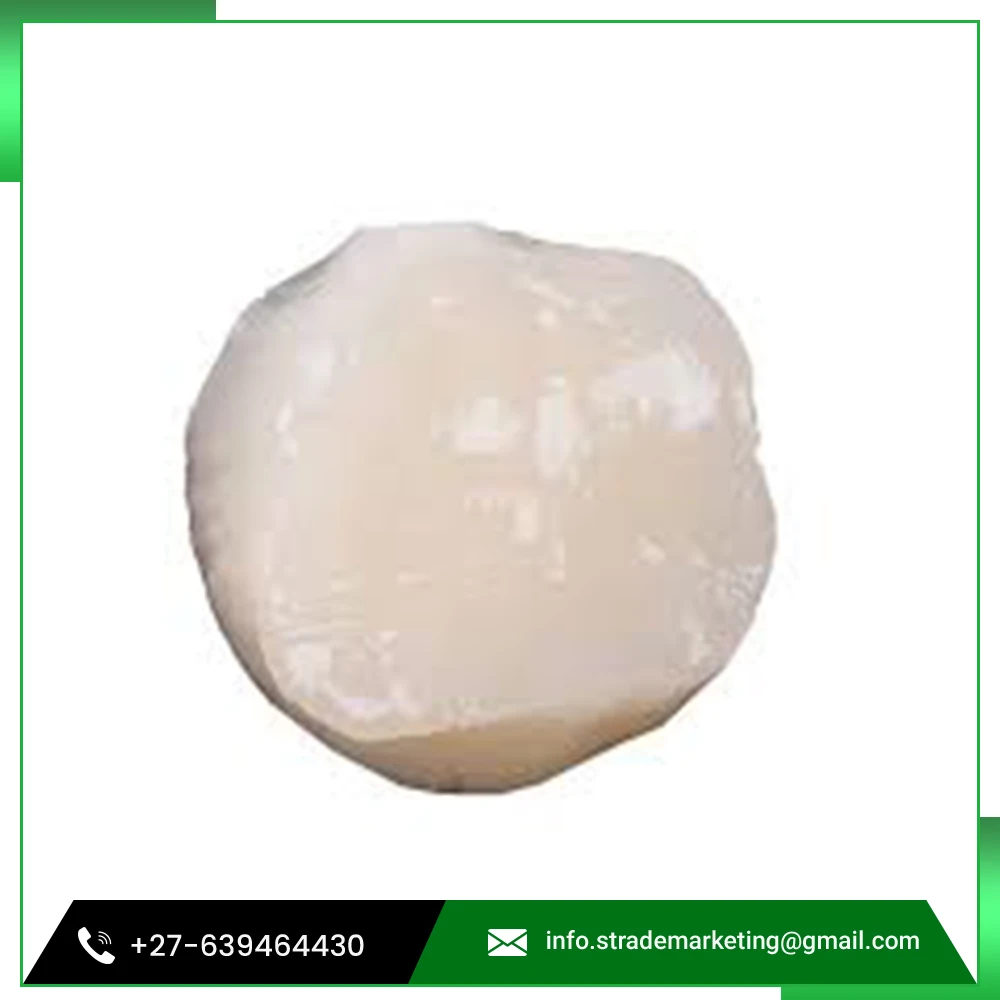 
High Grade New Frozen Air Dried Scallop 