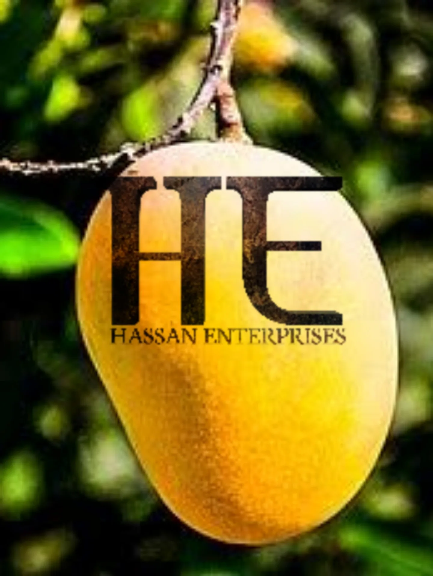 Манго свежий пакистанский Chaunsa Sindhri экспортное качество