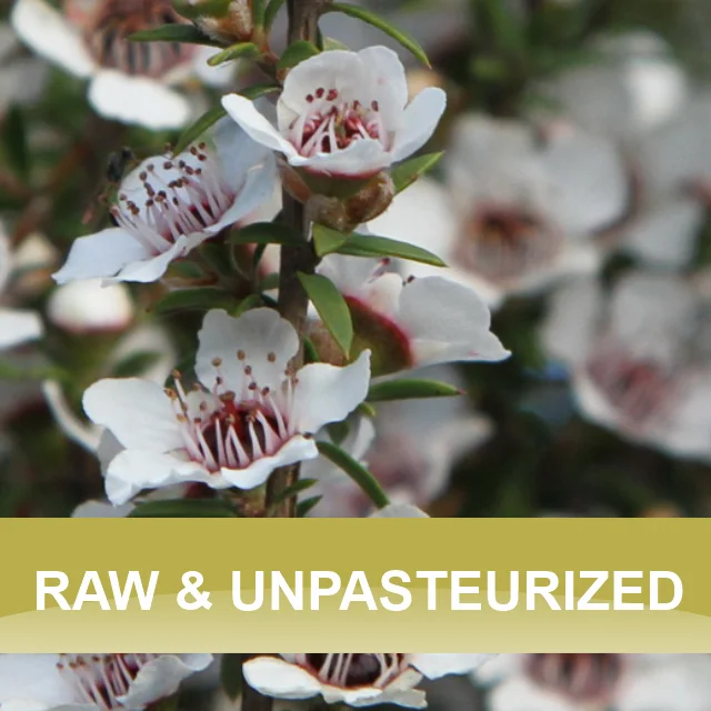 Manuka bulk MG100 product of New Zealand Halal