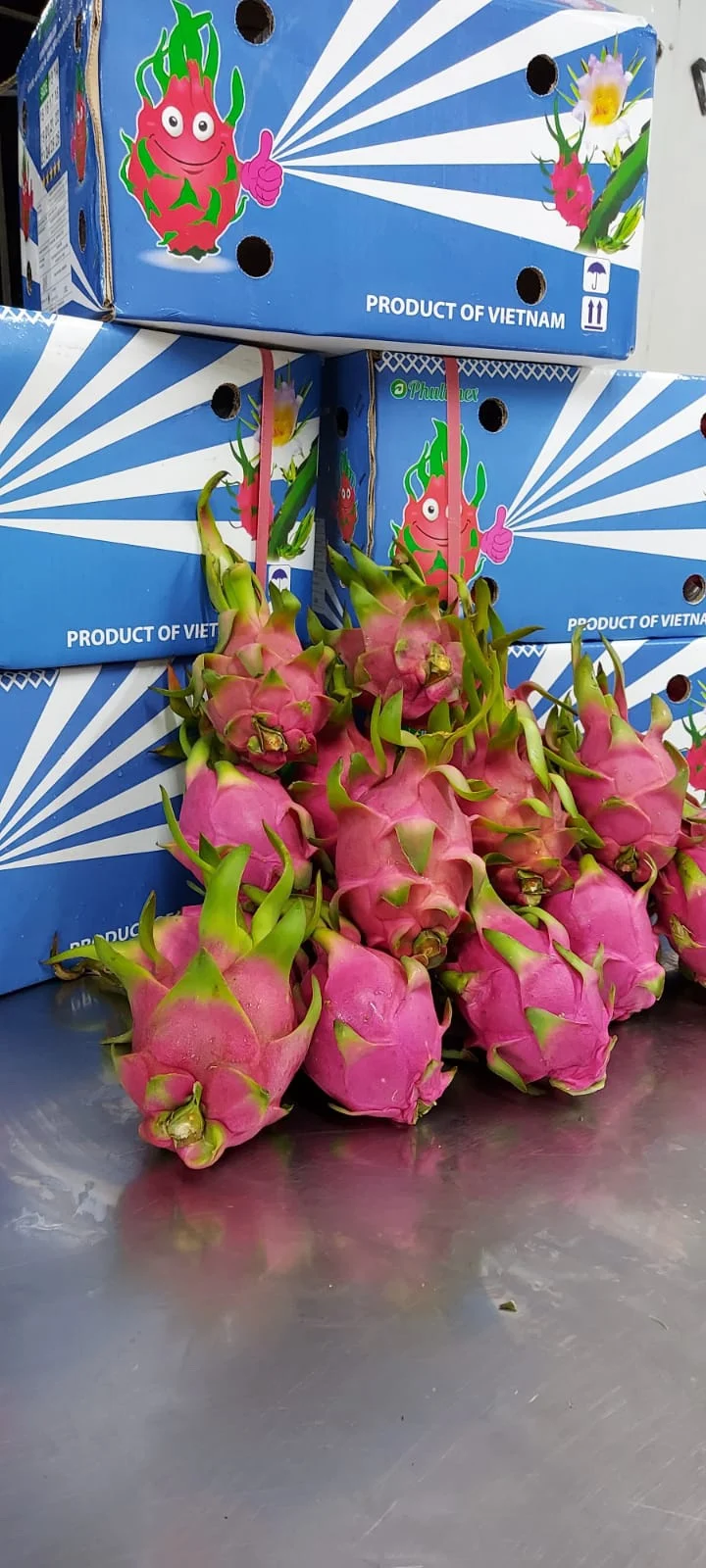 Свежие фрукты Pitaya свежие дракона из Вьетнама