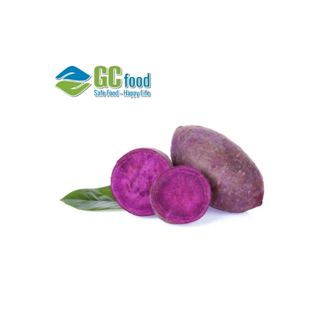 Оптовая продажа сладкий картофель (фиолетовый) свежий урожай 100% зрелой 10 кг Размер 12 см сделано в вьетнаме