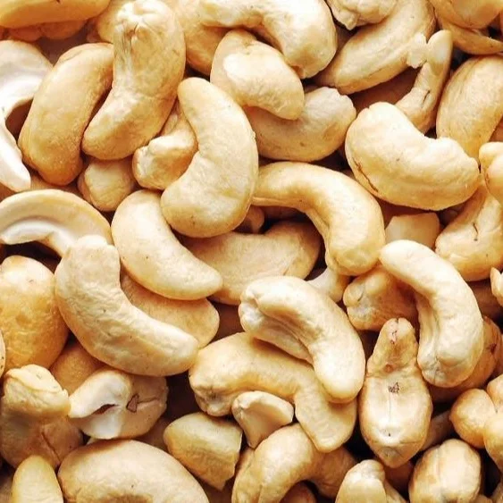 Wholesale Roasted Cashew Nuts with Salt Cashew Nuts W320 W180 W450 W240 from Cashew Kernel Vietnam