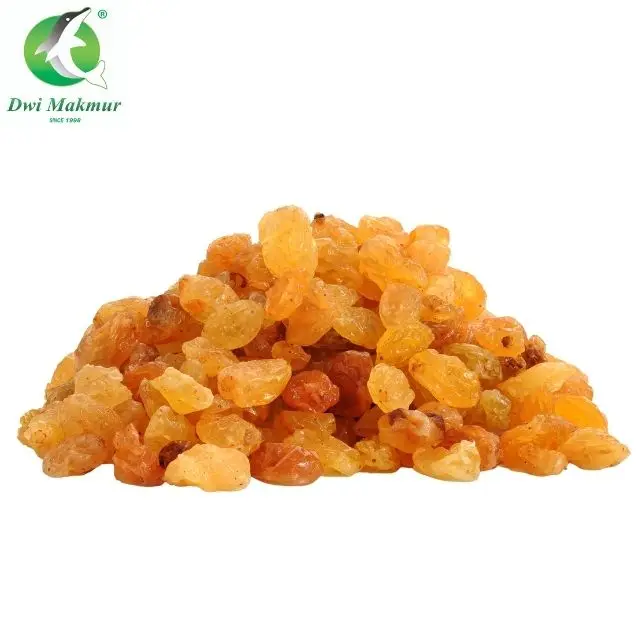 High Quality at cheap price 10x100g yellow raisin golden dried grapes for baking bread biscuit with benefits raisin from India