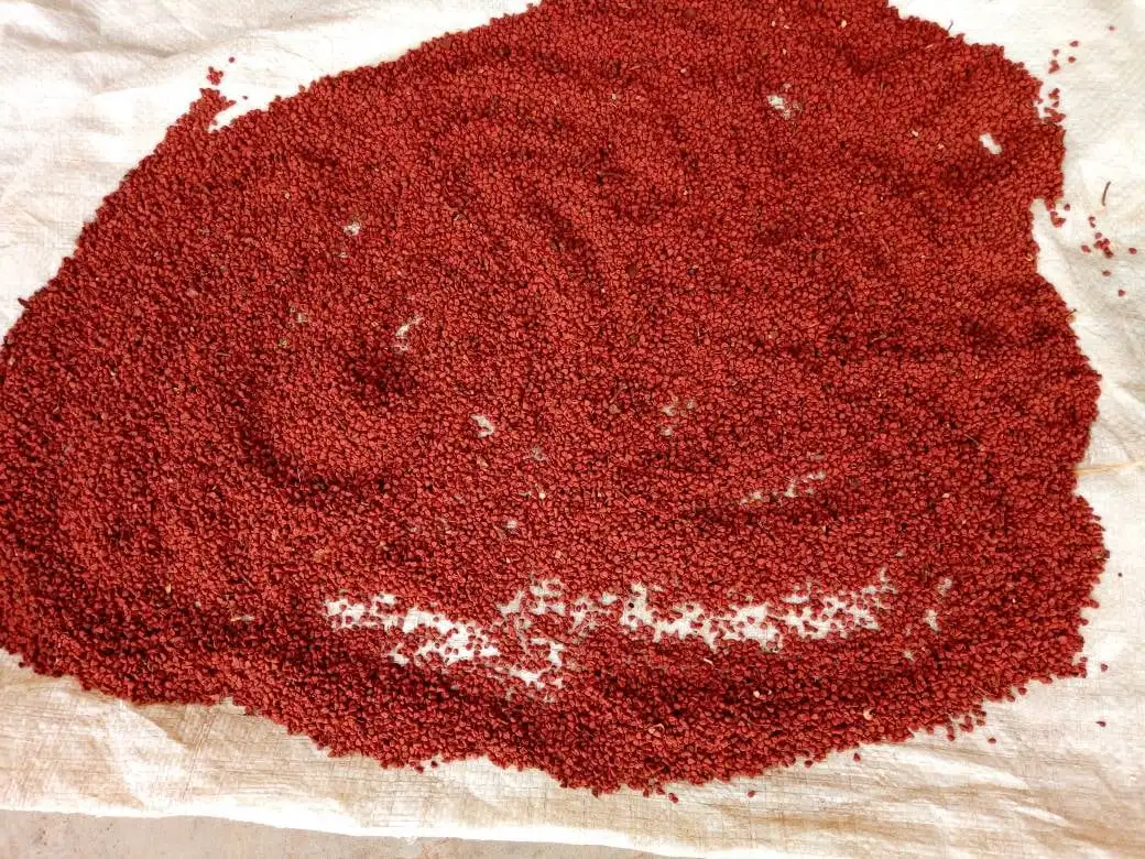 Лучшая Пряность вьетнамские семена аннато ахиота Roucou из Вьетнама по лучшей цене мисс Люси + 84 929 397 651