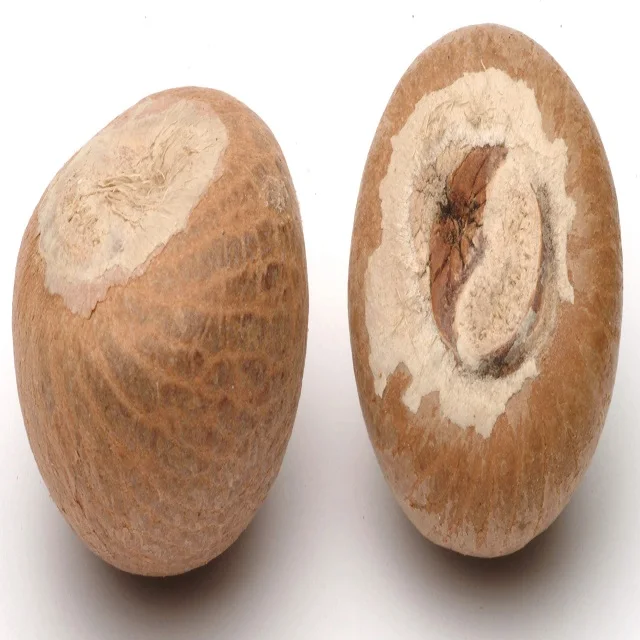 Экспорт сушеных орехов BETEL по лучшей