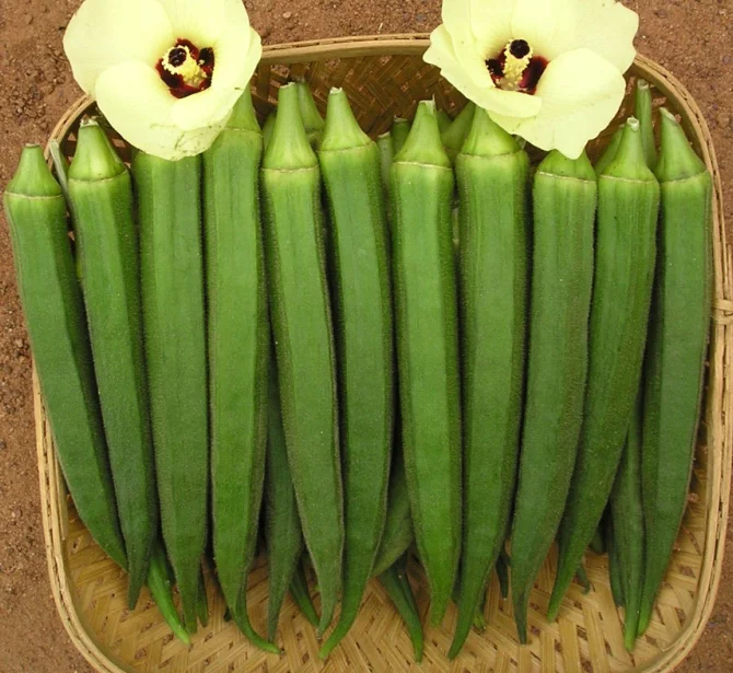 Цена на семена окры