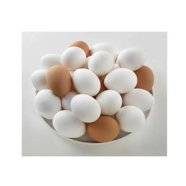 
Premium Quality Chicken Table Eggs Brown And White Shell Chicken Egg Bitumen Available for sale 