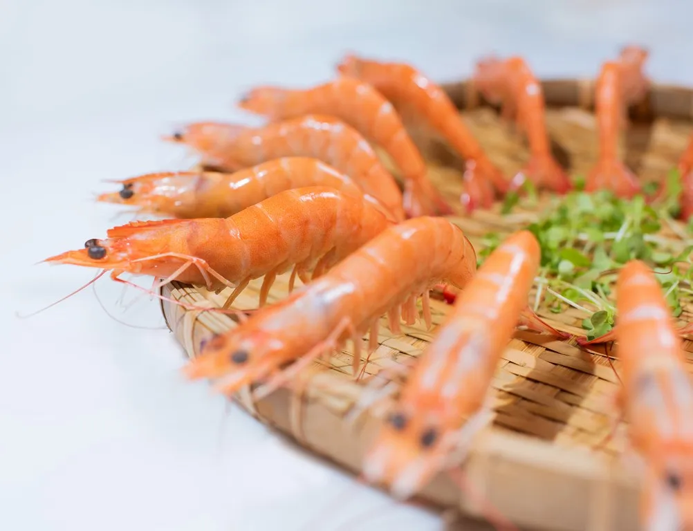 Wholesale Cooked HOSO Black Tiger Prawn Head On Shell On Fresh seafood made in Vietnam best for export