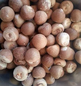 Сушеные Орехи Betel высокого