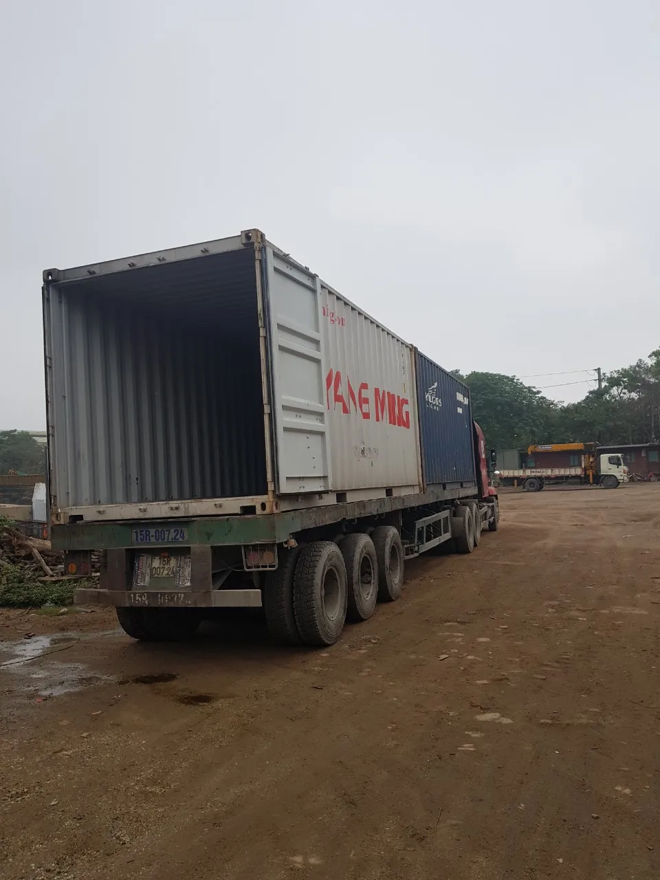 Wet salted cowhide  sale 2021