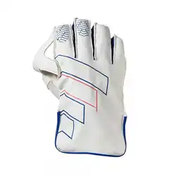 Best Price Cricket Keeper Gloves For Sale High Quality Wicket Keeper Gloves T20 in High Quality