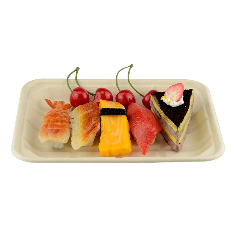 WholeSale sugarcane bagasse pulp paper food tray for meat eco-friendly biodegradable disposable compostable