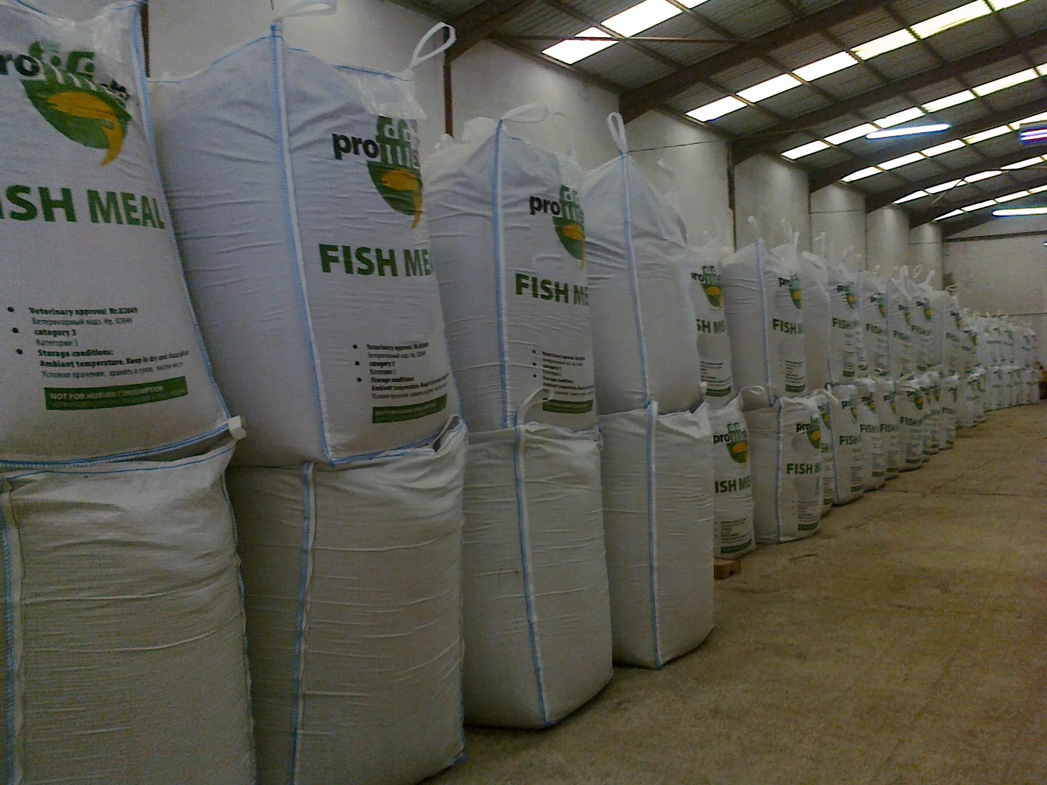 High Quality Fish Meal Animal
