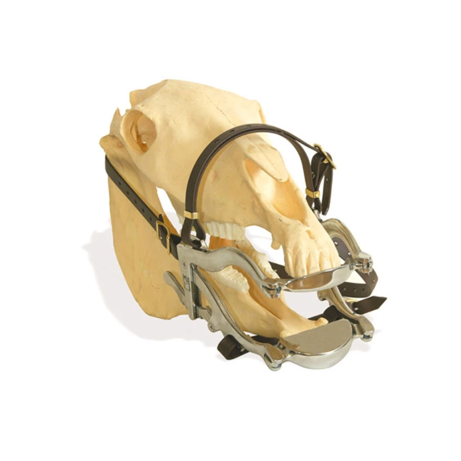 Horse equipment/Mouth speculum stainless steel