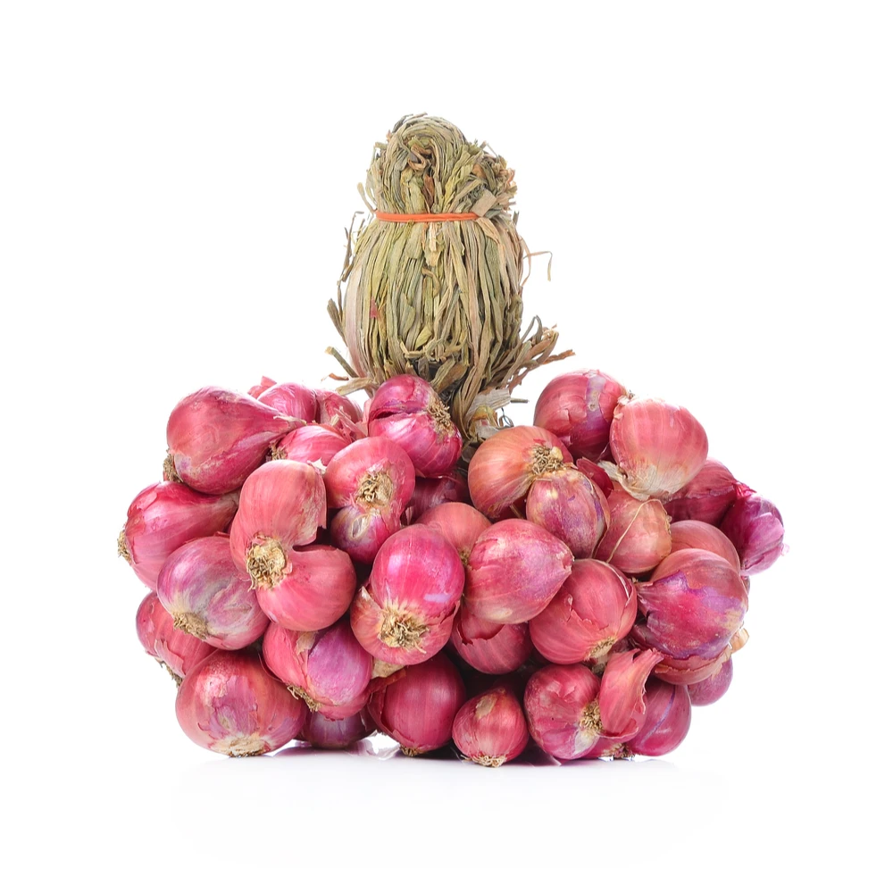 Onions Price Ton New Crop 20kg/25kg per bag, 5-7cm/6-8cm / Big Onion for Export