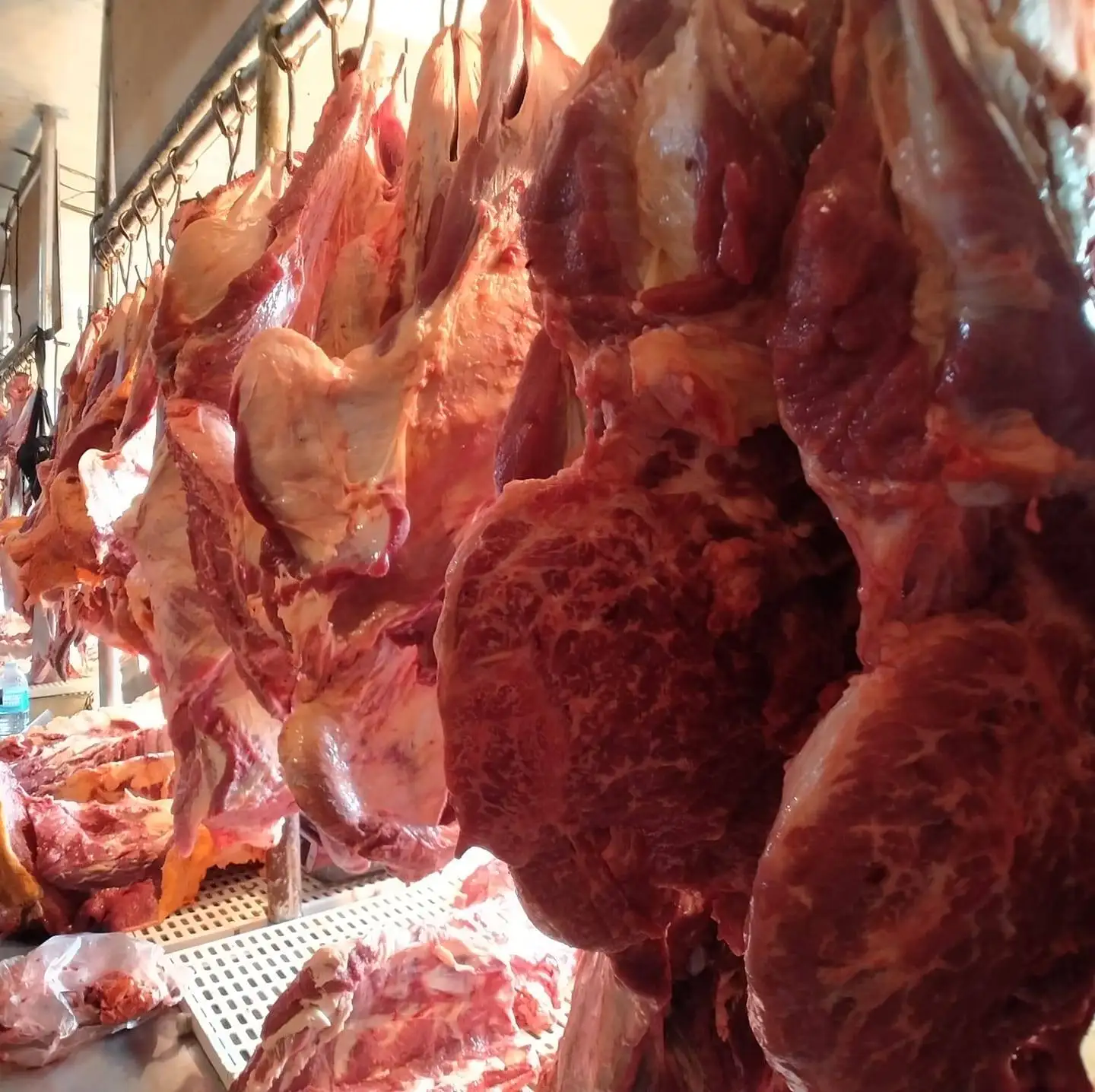 
PRIME FROZEN BONELESS BEEF/COW MEAT FOR SALE (HALAL) 