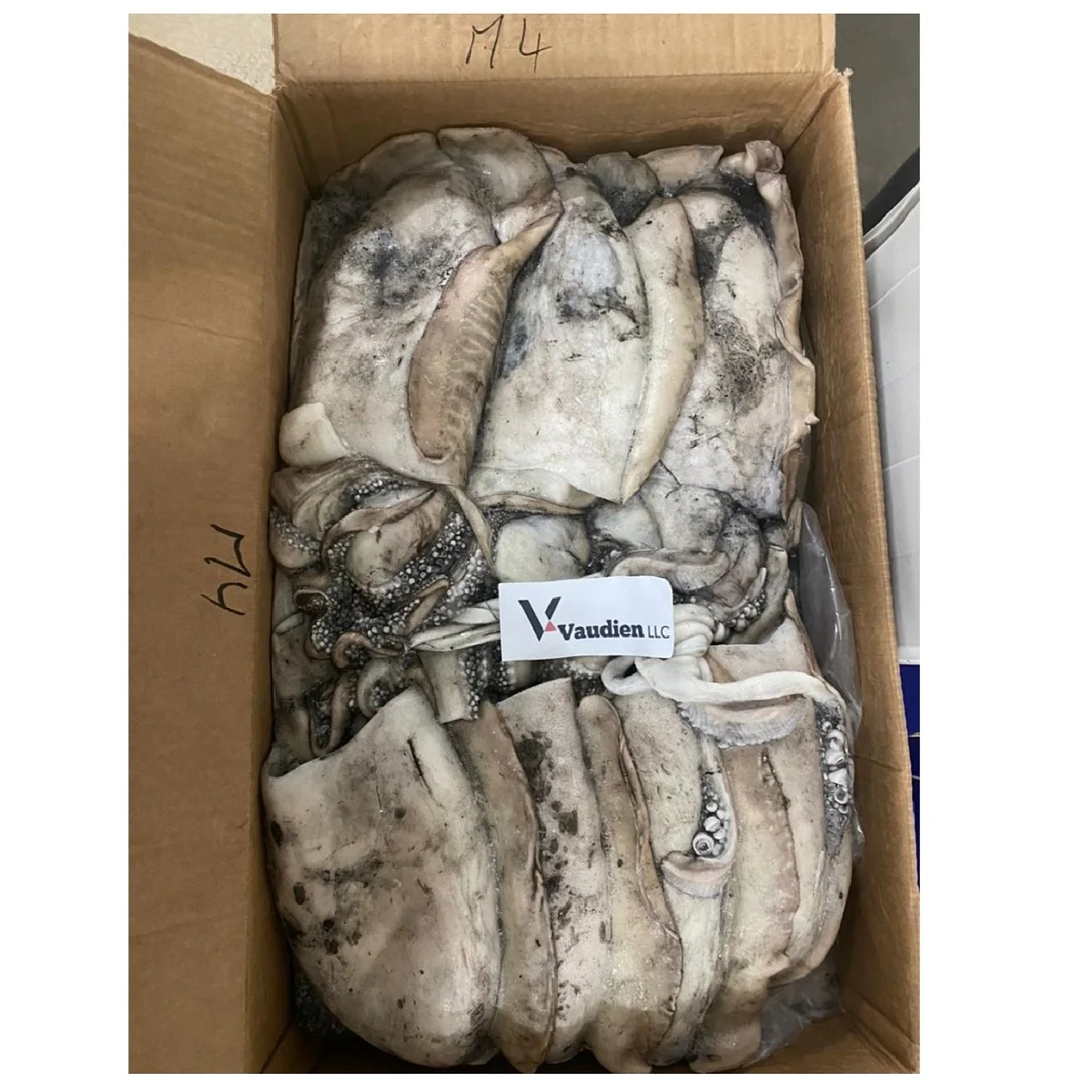 
High quality Natural Rich Dietary Sepiida Seiches Quality Export Moroccan Frozen Cuttlefish 