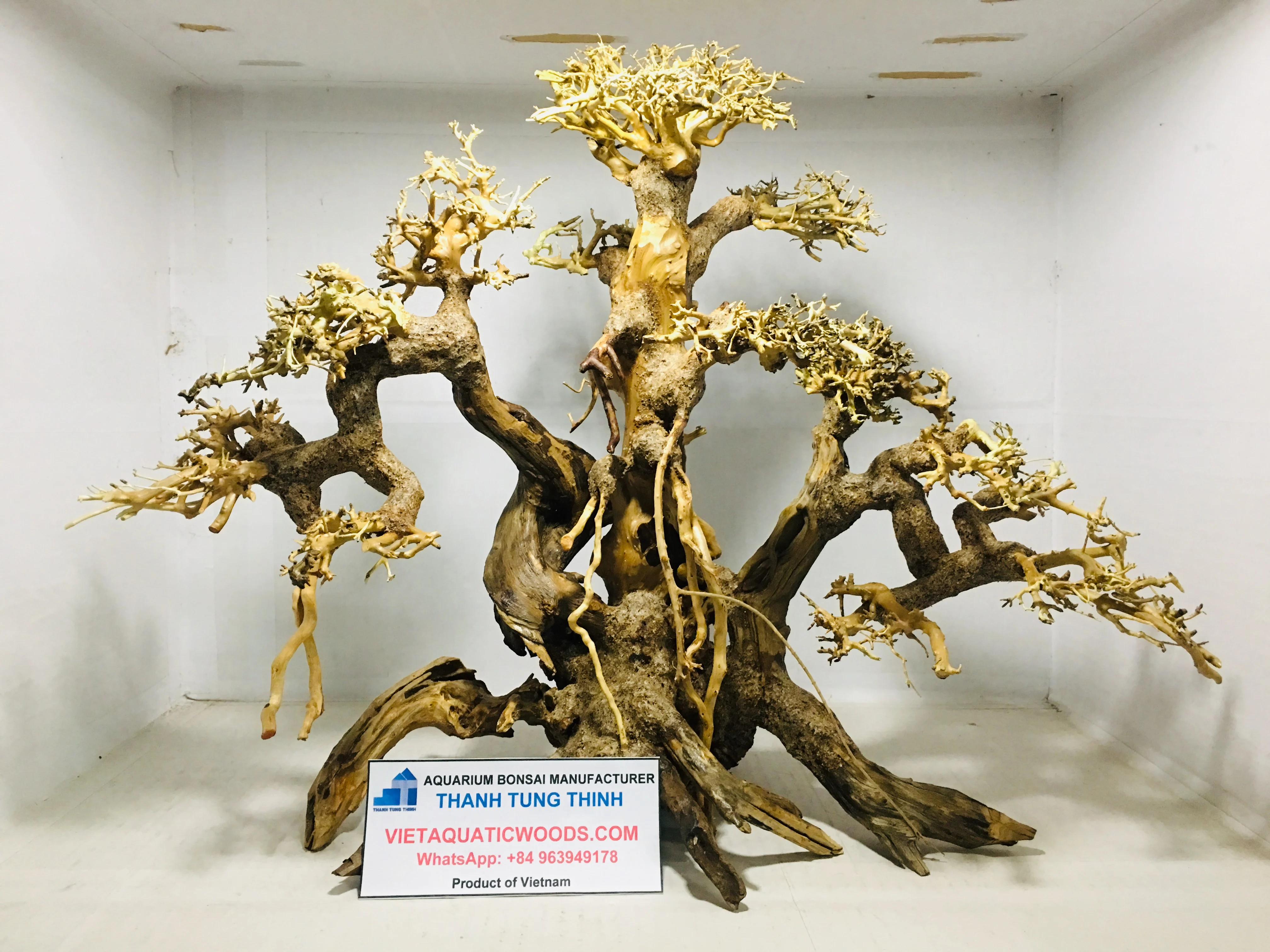 New products Bonsai Driftwood Mangrove Root and Driftwood for Aquarium Decorations WhatsApp: +84 961005832