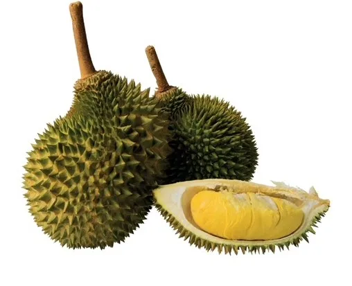 Durian Pulp Frozen Durian Fruit Pulp Halal Quality Malaysia 300g