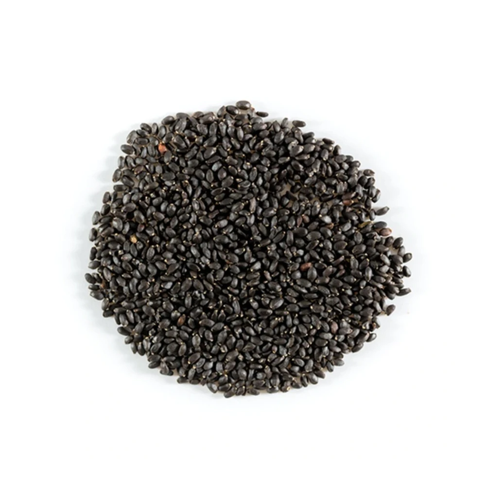 Best Selling Basil Seeds For Other Beverage Drinks And Smoothie Shakes At Best Price