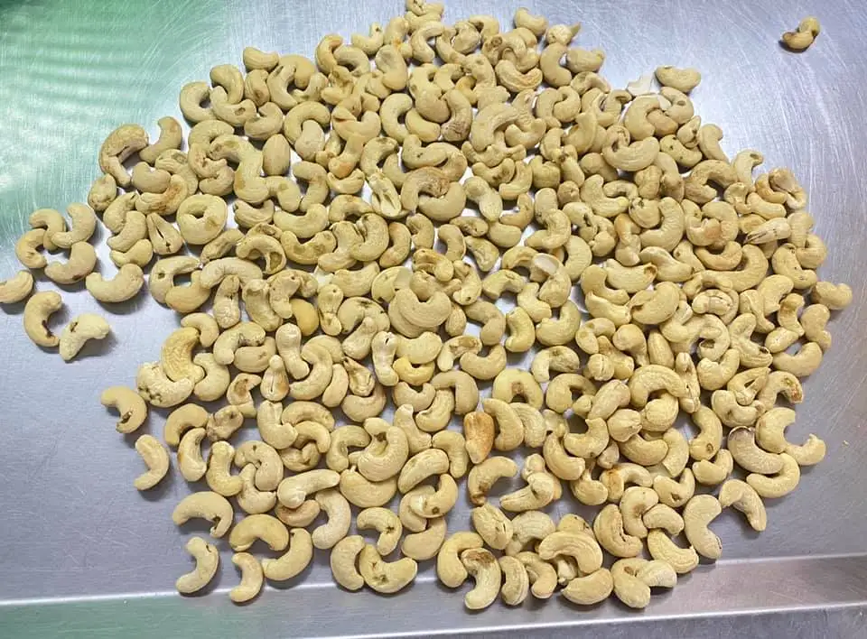 Cheap Price Top Grade Cashew Nuts SW320 SW240 from Vietnam