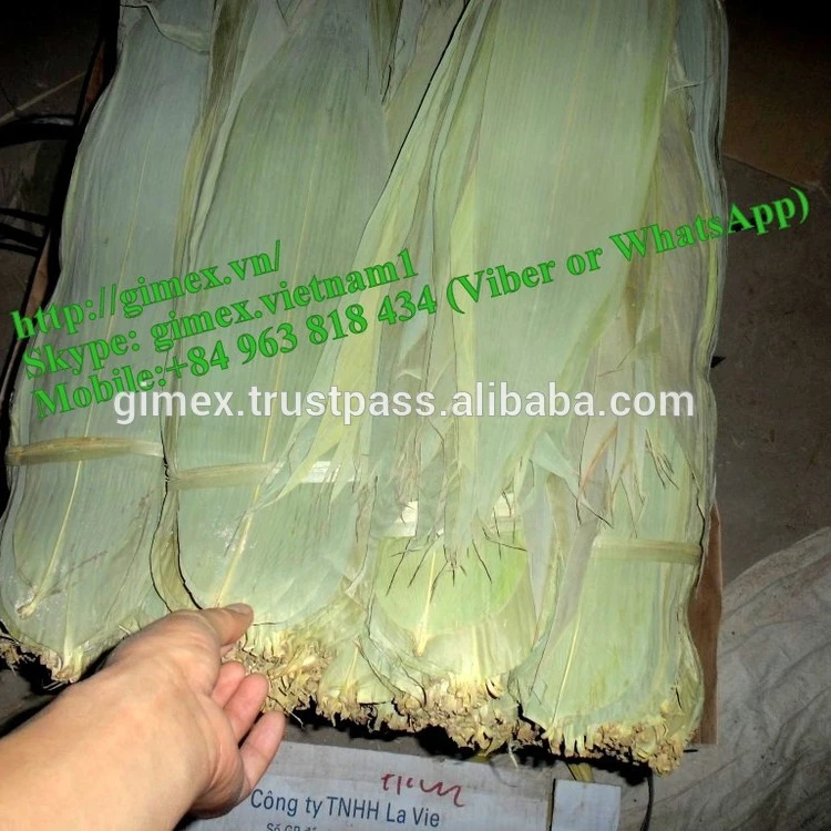 fresh and dry big size bamboo leaves for export CALL +84984418844