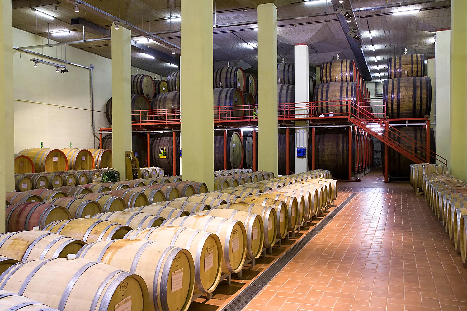 Italian  wine Pinot Noir 75 cl bottle intense taste full bodied  oak barrels Le Colline di San Giorgio Pinot Nero Doc