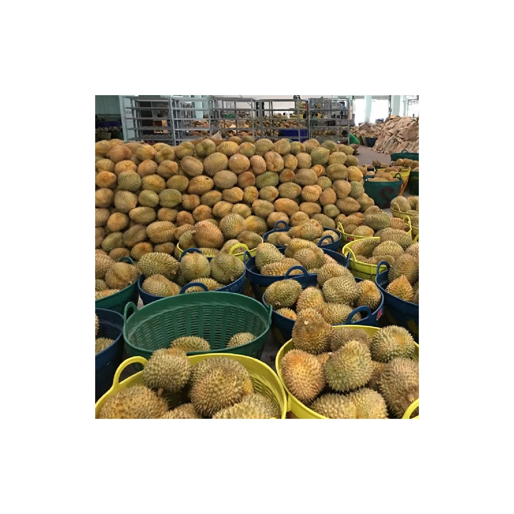 Premium Fresh Durian From Thailand