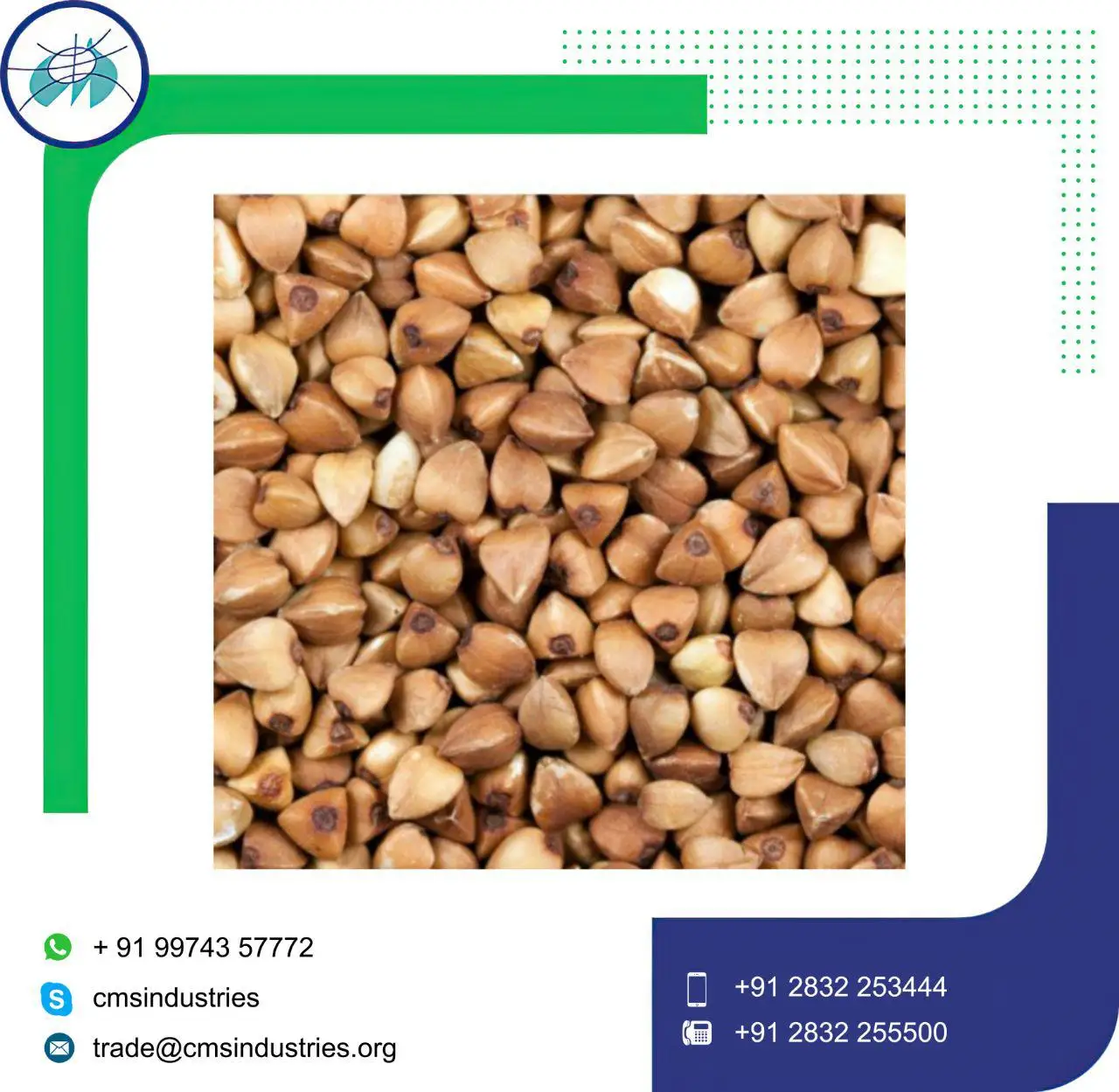  Очищенные Семена Гречихи