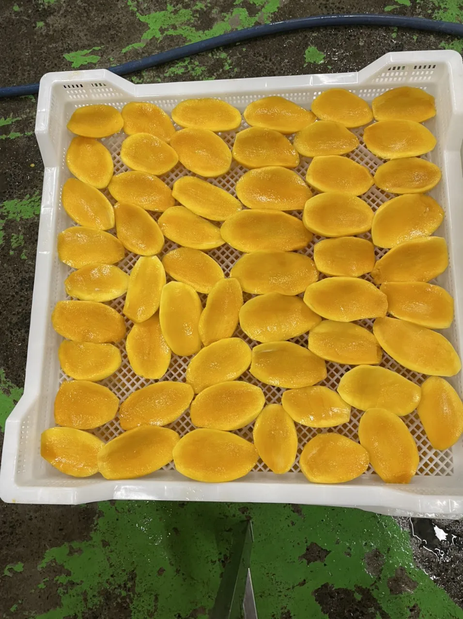  Замороженные Палочки манго/замороженные манго наполовину срезанные/замороженные
