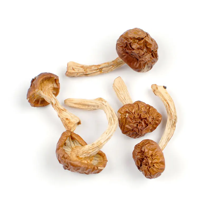 Nameko Mushrooms 1 lb bag / box each