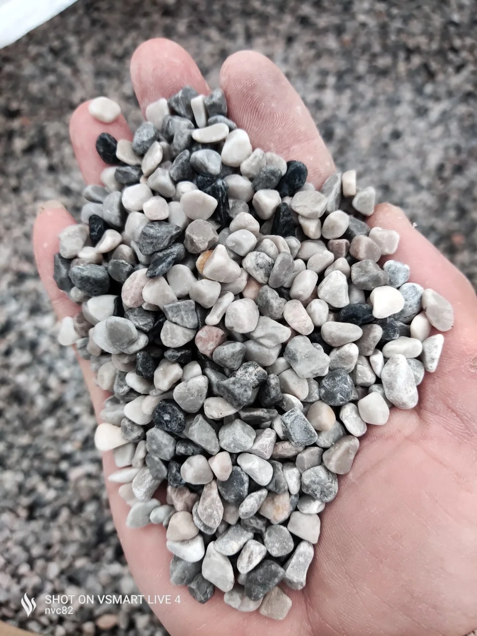Low Price Small Rocks Grey Pebble Stone for Decoration