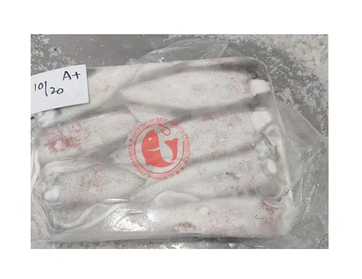 Frozen Whole Loligo Squid For Export in Bulk Quantity High Quality Frozen Loligo Squid Available in Multiple Sizes