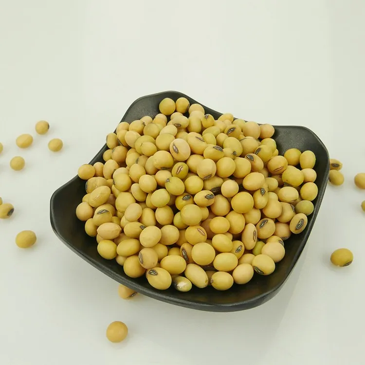 NON-GMO Soya Beans Soybeans United Kingdom